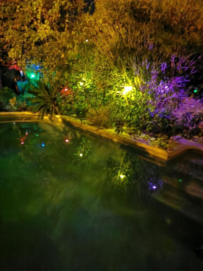En Sous Sol De Avec Acces Jardin Et Piscine Gasthof *