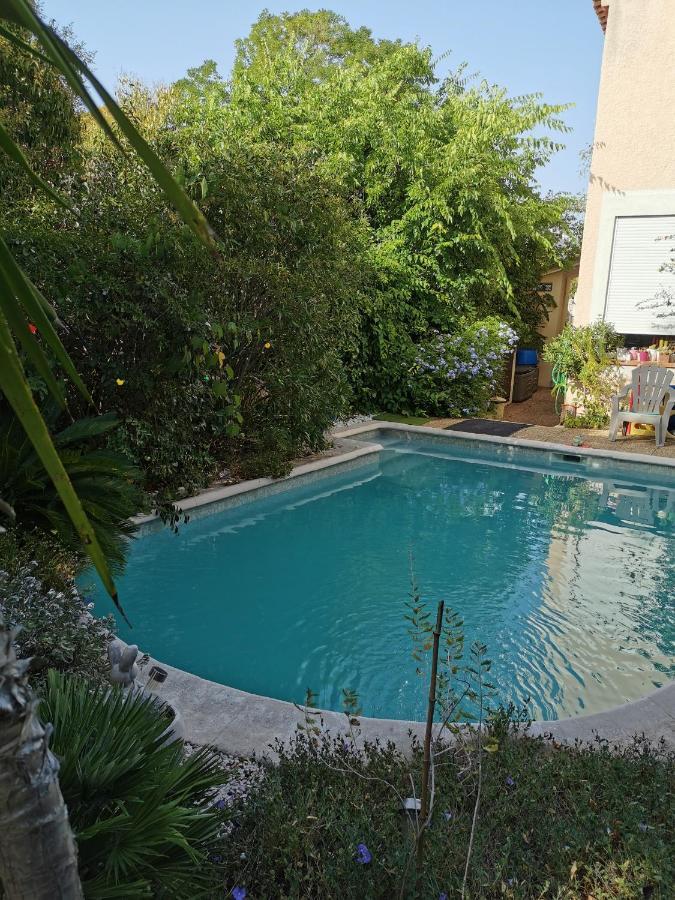 En Sous Sol De Avec Acces Jardin Et Piscine Gasthof Marseilles